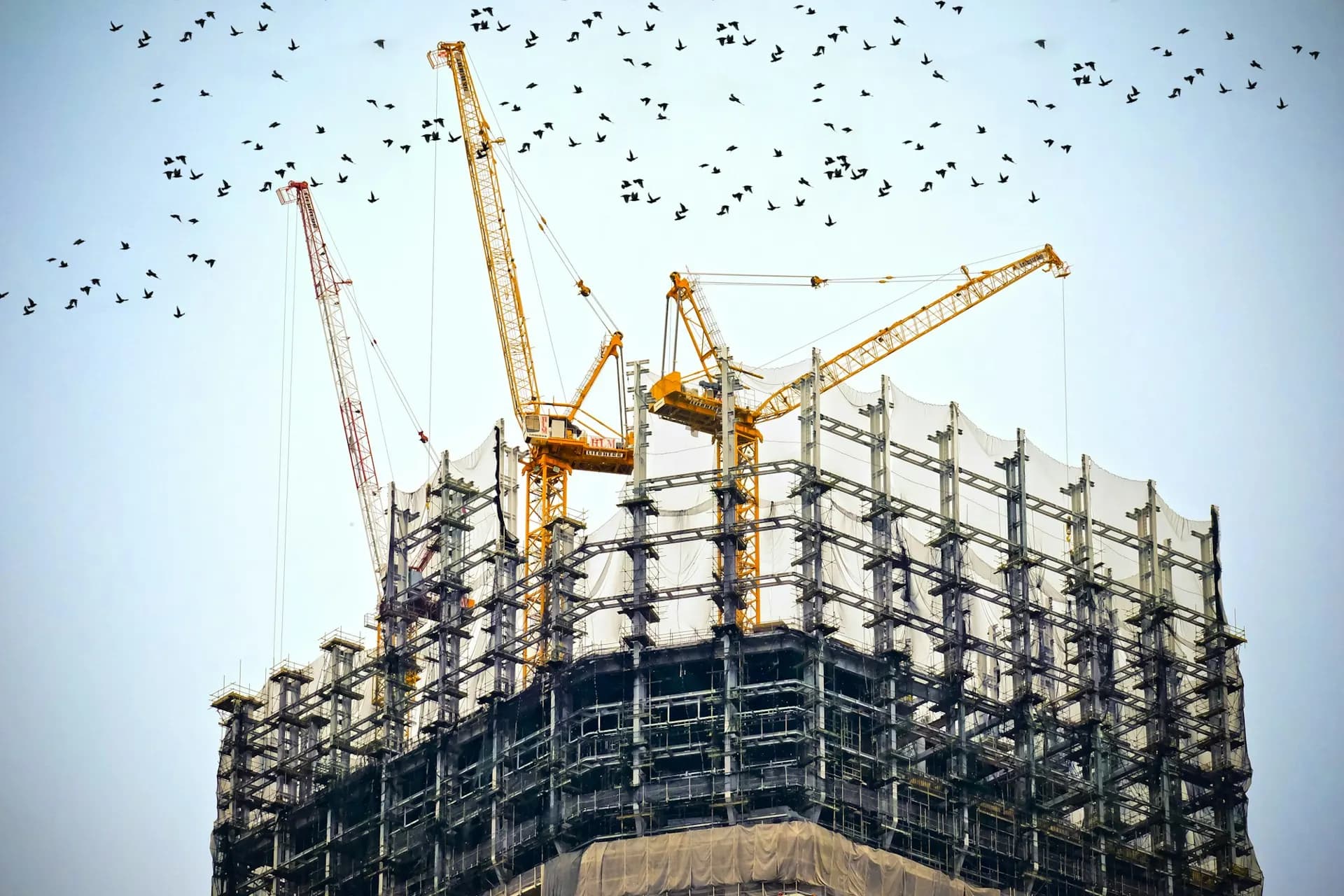 Tower cranes working above a building under construction